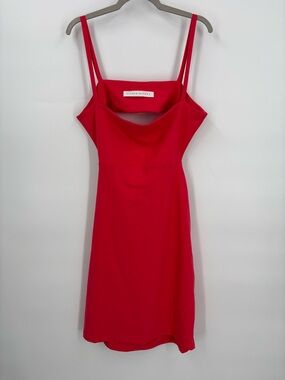 Susana Monaco pink mini dress